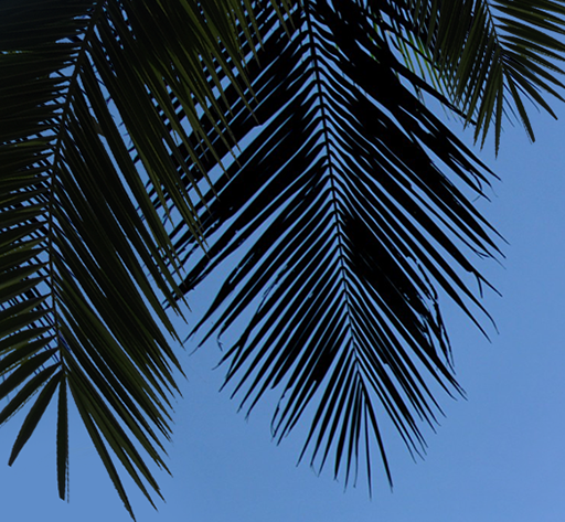 image14